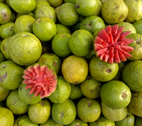 Psidium Guajava (Guava) Fruit Extract
