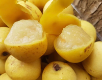Sclerocarya Birrea (Marula) Seed Oil