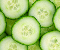 Cucumis Sativus (Cucumber) Seed Oil